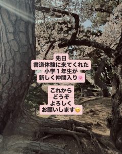 函館の桜書道教室の体験　小学生が入会
